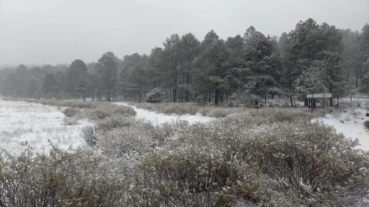 nieve municipios